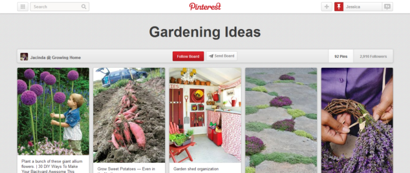 gardening ideas pinterest board