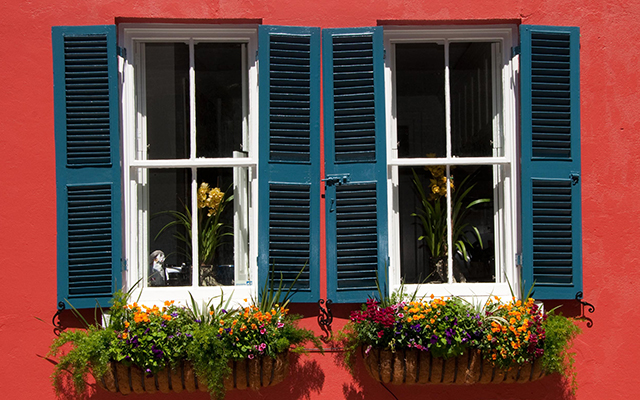 home-windows