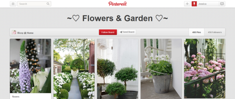 flowers and garden pinterest board