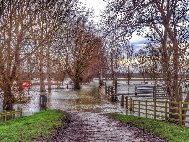 Protect Your Home and Family from Flooding