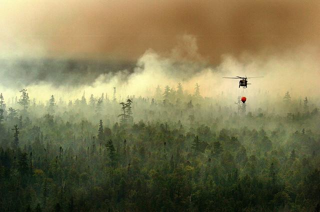 During a Wildfire