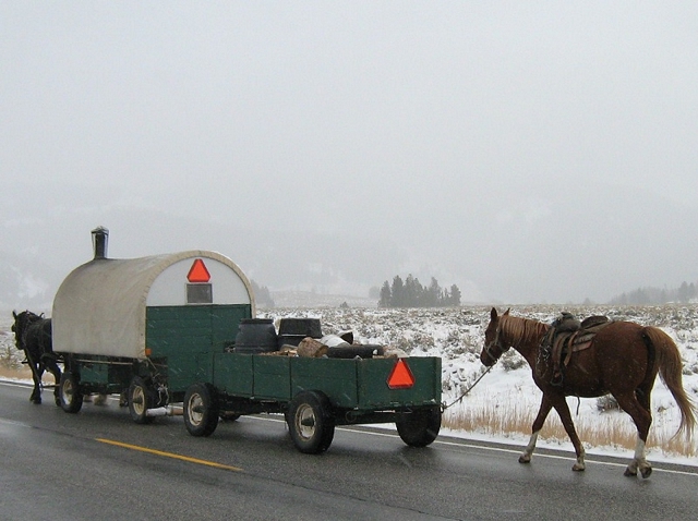 horse drawn carriage portable home