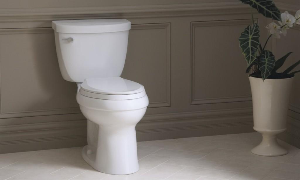 comfort height toilet popular aging in place remodeling projects