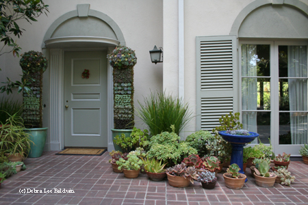 create a container garden 39 ways to improve the curb appeal of your home