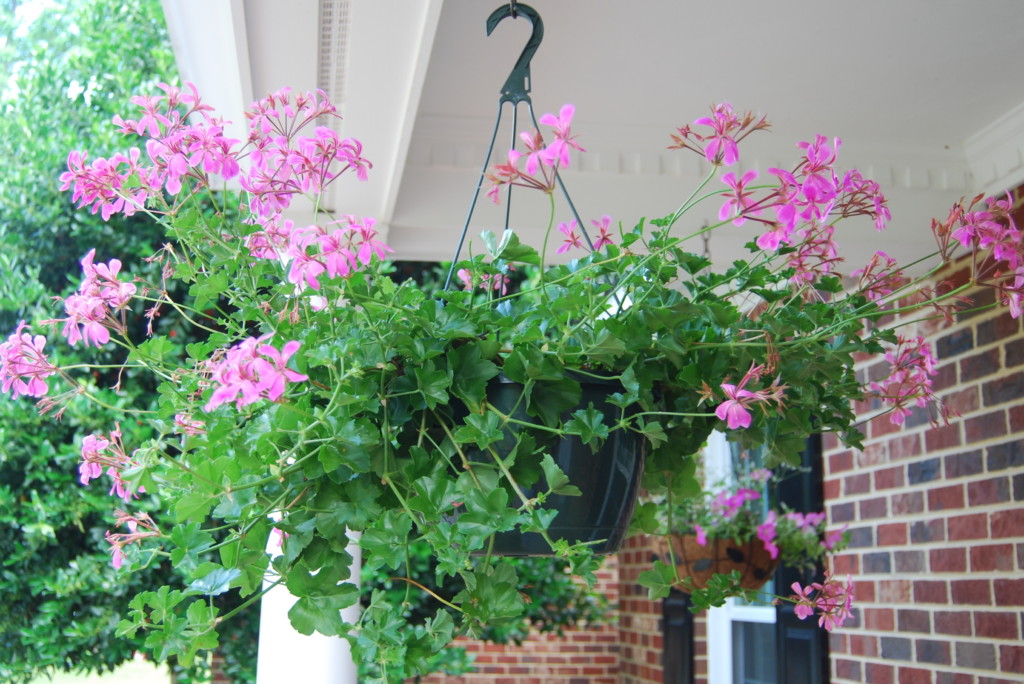 add a hanging plant to your front porch 39 ways to improve your home's curb appeal