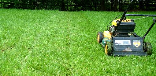 mow your lawn and pull weeds 39 ways to improve the curb appeal of your home