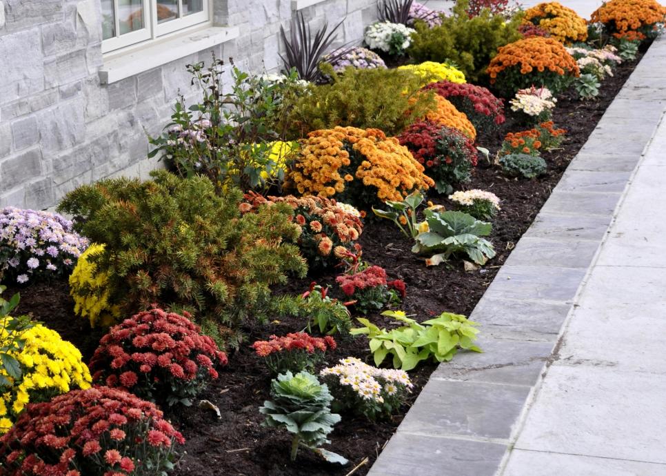 plant flowers for curb appeal color 39 ways to improve the curb appeal of your home