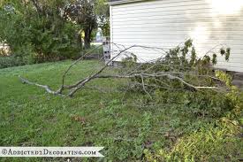 remove fallen branches and clear the yard 40 important home exterior maintenance tasks