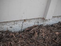 inspect the foundation 40 important home exterior maintenance tasks