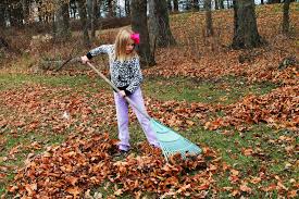 rake dead leaves from the yard 40 important home exterior maintenance tasks