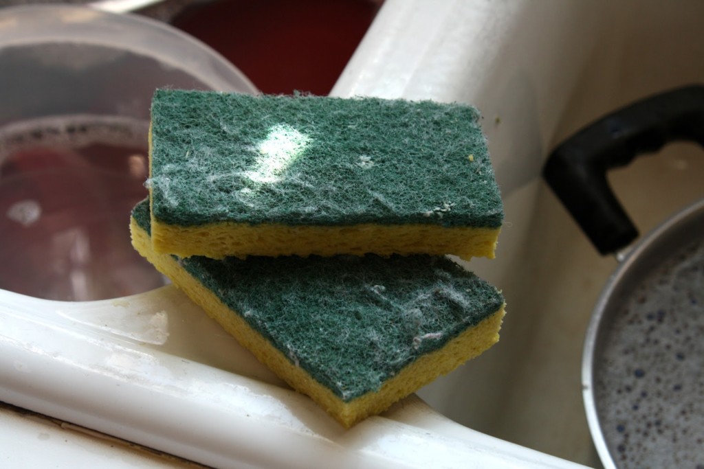 washing your sponge in the dishwasher ways you're getting house cleaning wrong