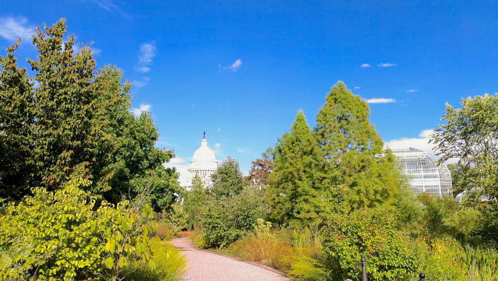 washington dc one of the best cities in the united states to live life outdoors (photo by flickr user: https://www.flickr.com/photos/janitors/)