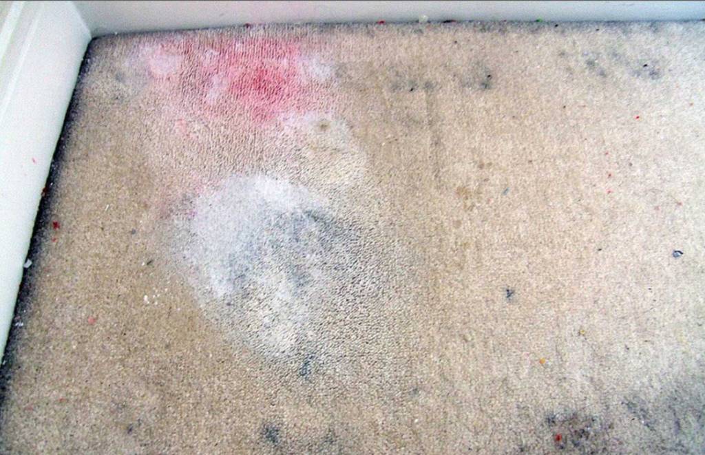 how to rid your house of fleas overnight