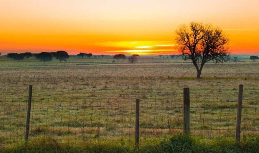 south dakota prairie field